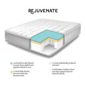 rejuvinate cross section